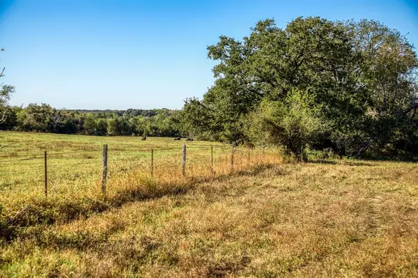 Brenham, TX 77833,02 Sawmill Road Tract 2