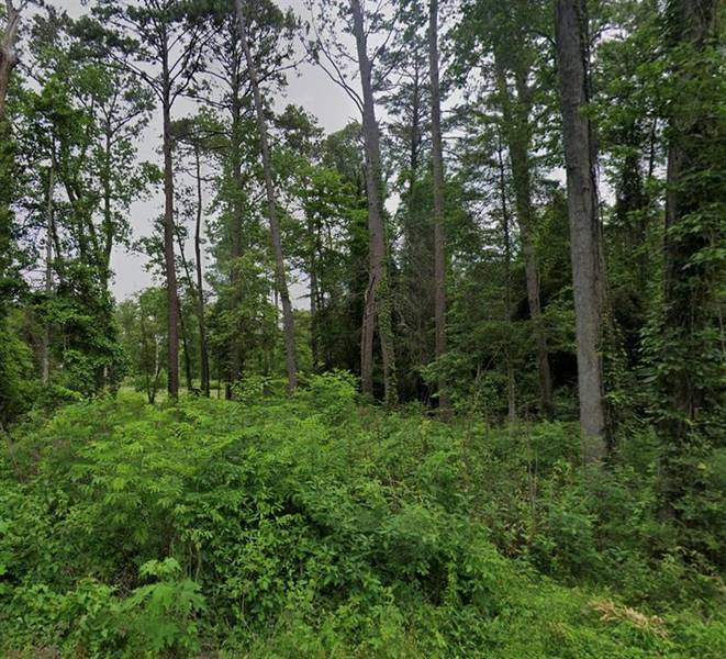 Lot 7 White Oak, Burkeville, TX 75932