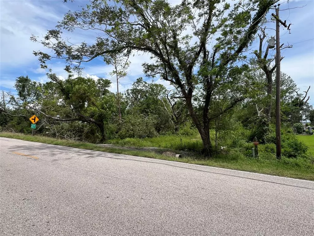 Brazoria, TX 77422,0 County Road 310