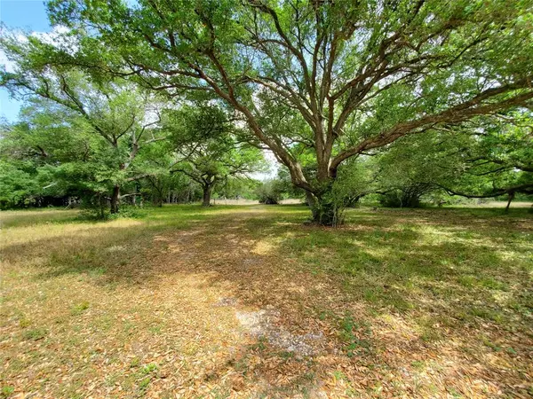 TBD Avenue D, Van Vleck, TX 77482