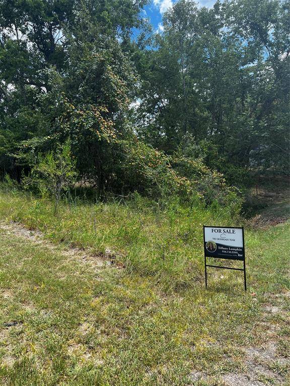 106 S S Pine Harbour DR, Coldspring, TX 77331