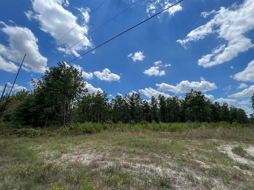 Warren, TX 77664,000 County Road 1420