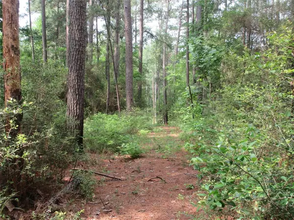 Huntsville, TX 77340,Lot 64 Sanctuary RD