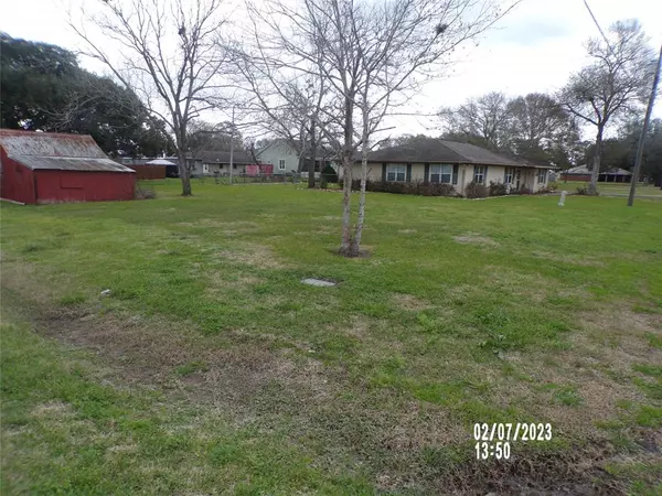 Beasley, TX 77417,205 S 2nd ST