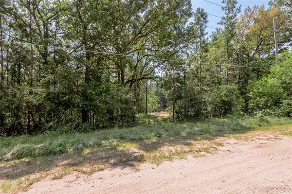 Trinity, TX 75862,Lot 68 Hidden Lane