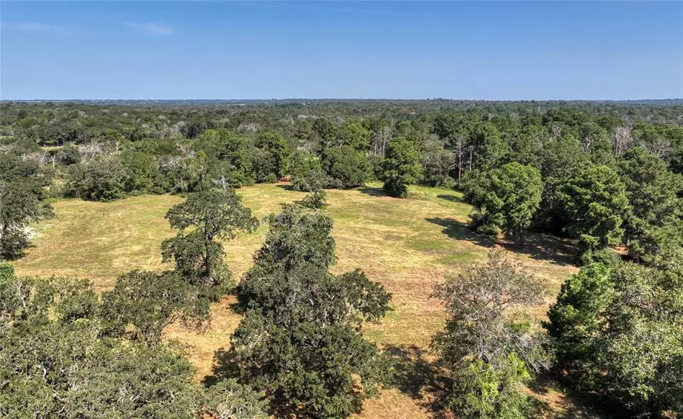 399 Oak Hill Lane, Bellville, TX 77418