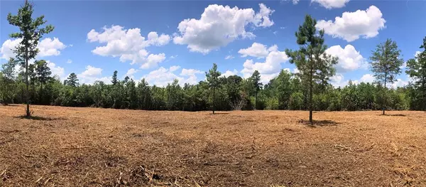 Nacogdoches, TX 75961,Lot 1 CR 338