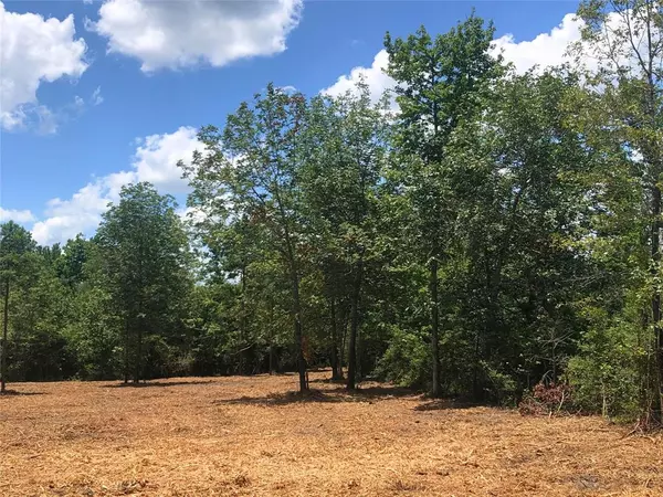 Nacogdoches, TX 75961,Lot 1 CR 338