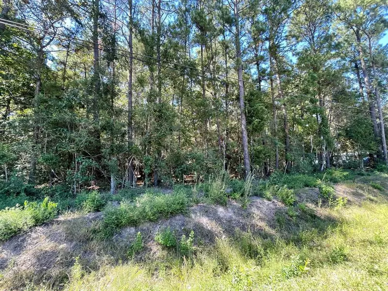 Lot 322 Woods DR, New Caney, TX 77357