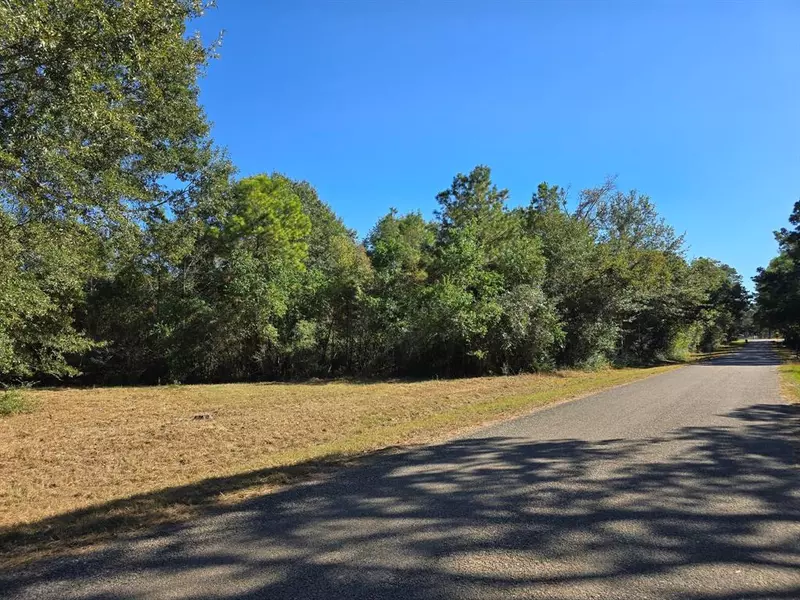 Lot 5 Tepee TRL, Hockley, TX 77447