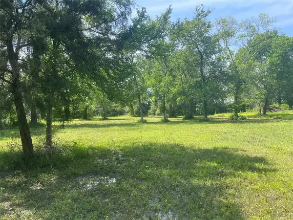 Alvin, TX 77511,00 Patricia, CR 377 LN