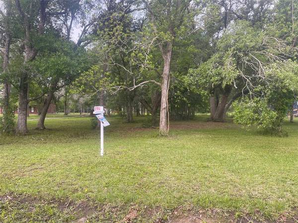 00 Patricia, CR 377 LN, Alvin, TX 77511