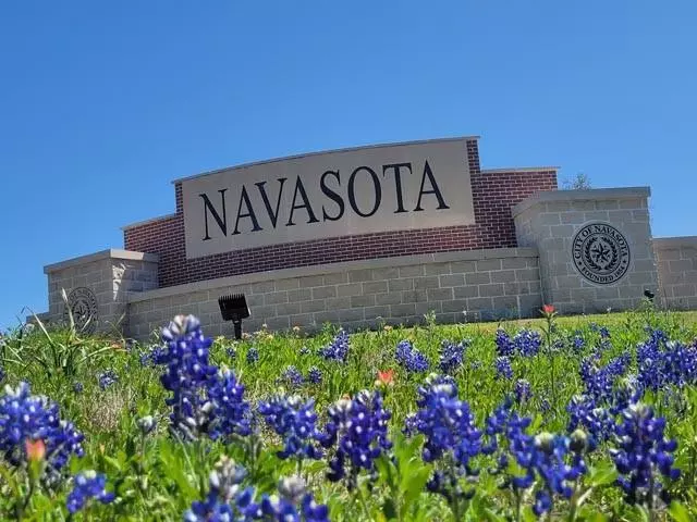 Navasota, TX 77868,807 Roosevelt