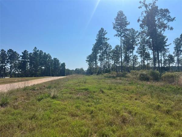 TBD 1 Red Lowe RD, Livingston, TX 77351