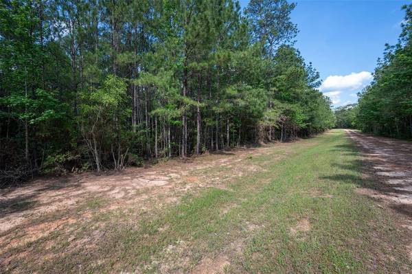 Woodville, TX 75979,tbd County Road 3000