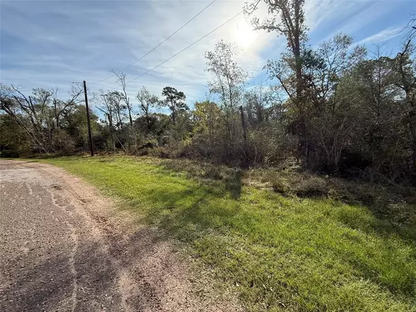 Hempstead, TX 77445,Lot 2 Block 51