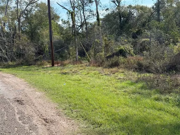 Hempstead, TX 77445,Lot 2 Block 51