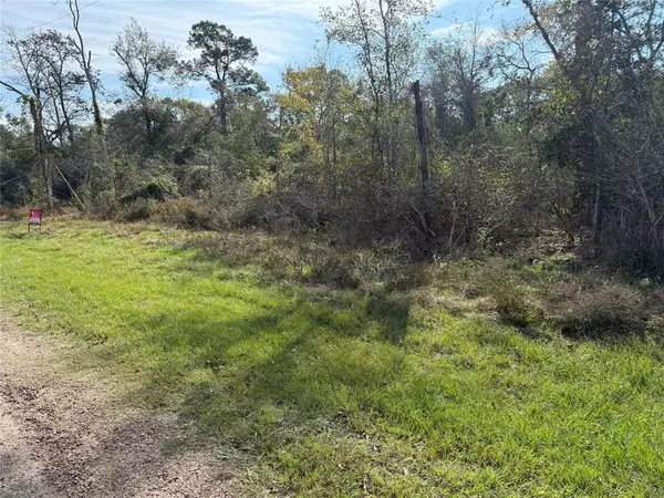 Hempstead, TX 77445,Lot 2 Block 51