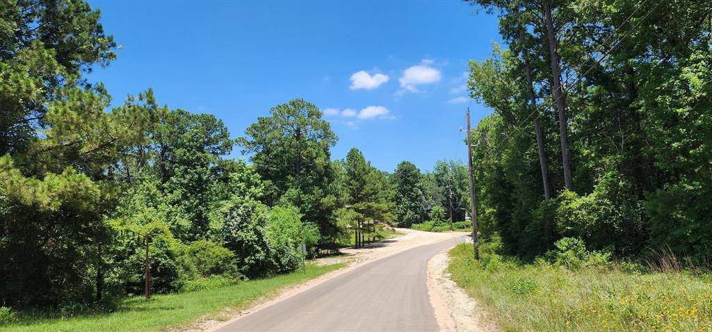 TBD Austin Rd, Trinity, TX 75862