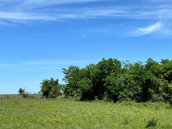 Chappell Hill, TX 77426,217 Acres Jozwiak RD