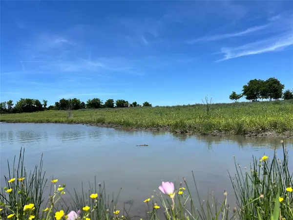 Chappell Hill, TX 77426,217 Acres Jozwiak RD