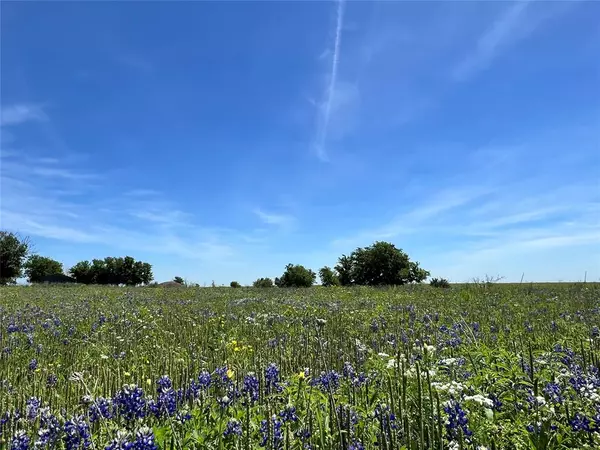 Chappell Hill, TX 77426,217 Acres Jozwiak RD