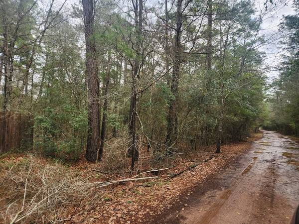 Lot 28 Sycamore LN, Plantersville, TX 77363