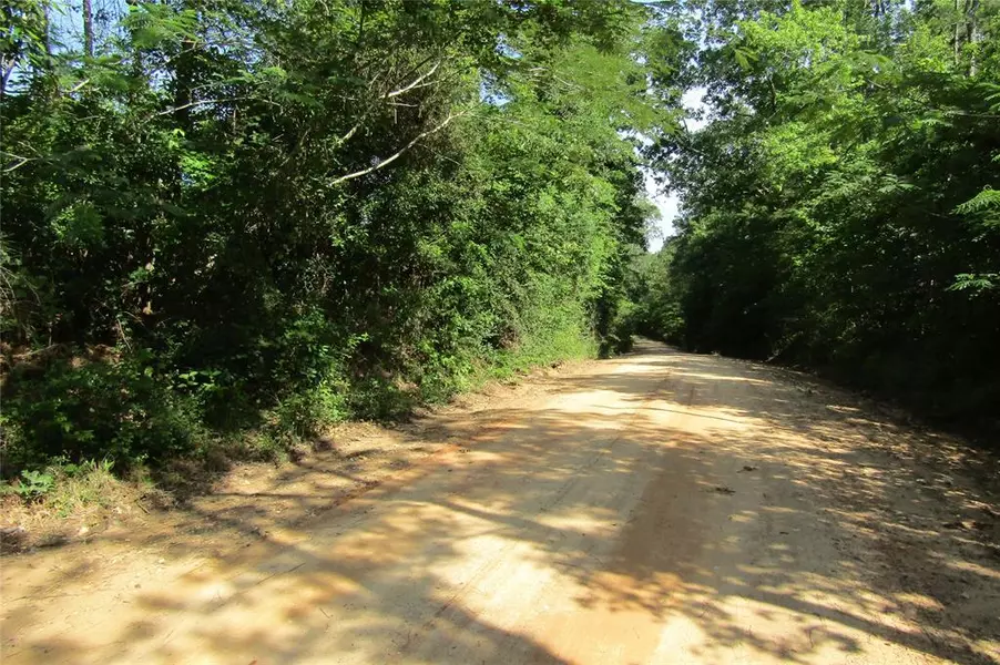 TBD Farm Road 2500, Livingston, TX 77351