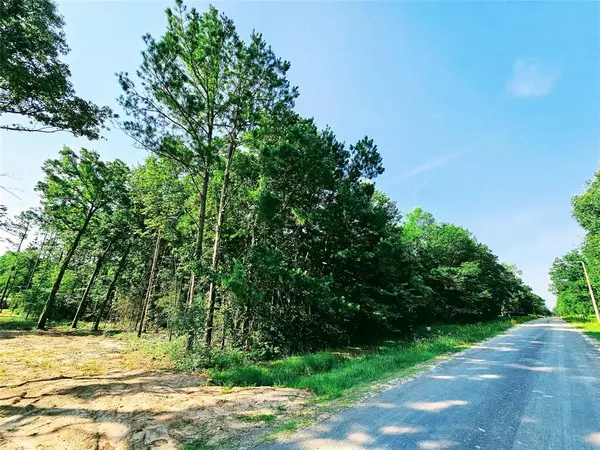 Livingston, TX 77351,TBD Lot 64 Windwood DR