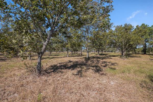 7613 Bobwhite, Brookshire, TX 77423