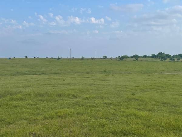 Flatonia, TX 78941,001 Wiedemann Rd