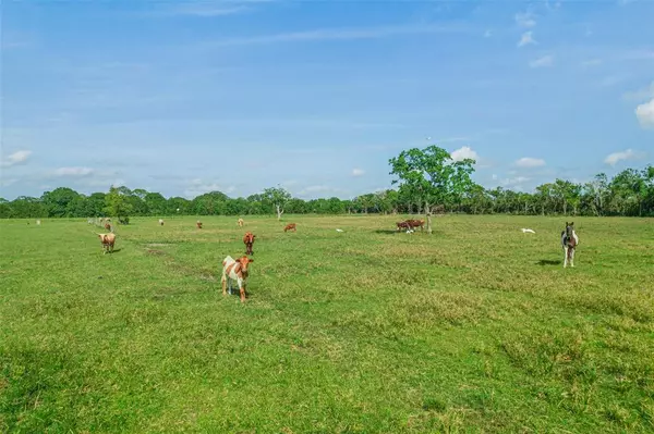 Algoa, TX 77511,000 Rymal Ranch Road