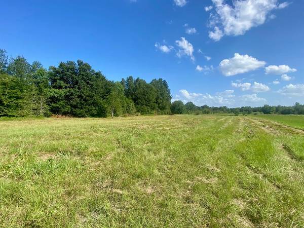 Lot #134 JB McDuff Drive, Crockett, TX 75835