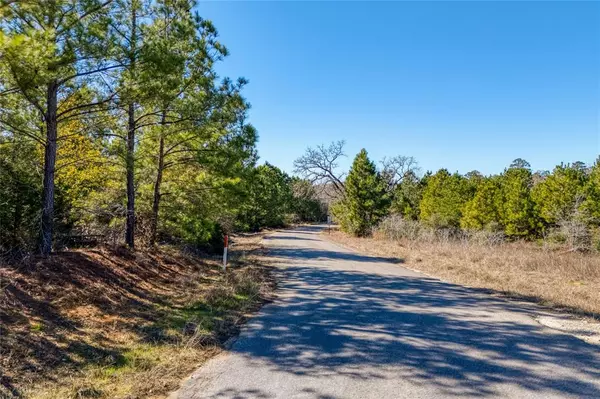 Bastrop, TX 78602,215-225 Pine Path