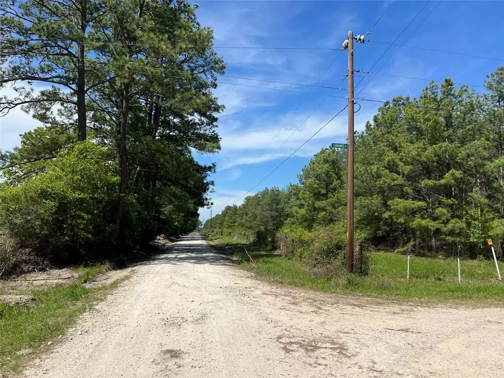 Huntsville, TX 77831,Tract 2 English RD