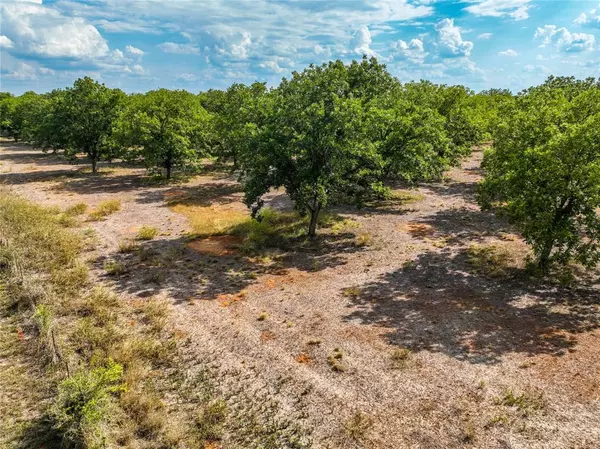 Pleasanton, TX 78064,Tract 4 Fm 1784