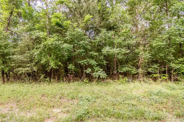 Coldspring, TX 77331,Lot 177 Morris Creek RD