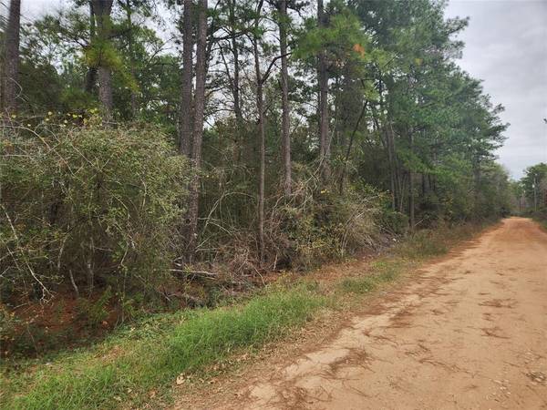 Lot 36 White Oak DR, Plantersville, TX 77363