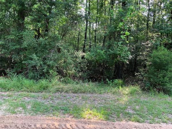 TBD Wood Forest DR, New Waverly, TX 77358