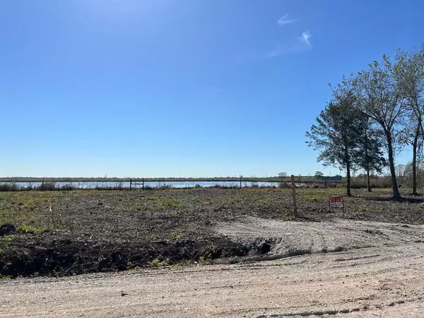 Rosharon, TX 77583,00 Lot 49 Bijou Rue