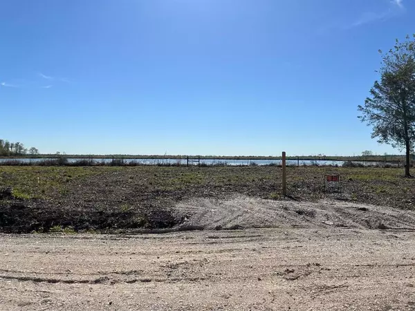 Rosharon, TX 77583,00 Lot 49 Bijou Rue