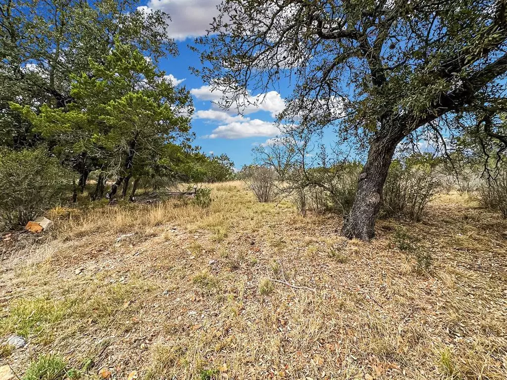 Horseshoe Bay, TX 78657,TBD Silver Dollar