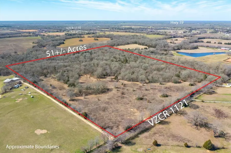 51.72+/- Acres VZ County Road 1121, Grand Saline, TX 75140