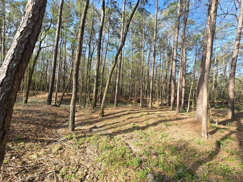 Point Blank, TX 77364,97 W Oak Tree DR