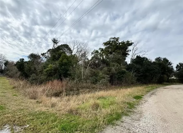 LOT 9 Shannon, Hitchcock, TX 77563