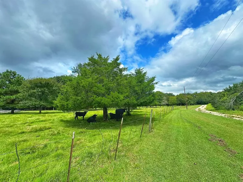 12078 CR 2481, Oakwood, TX 75855