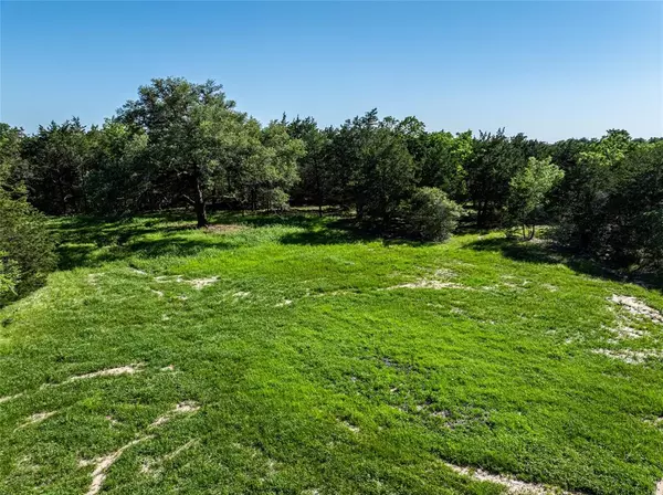 Carmine, TX 78932,TBD Schoenst Road - Tract 3