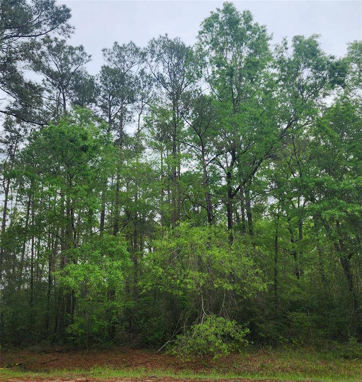 Livingston, TX 77351,TBD Cloverdale