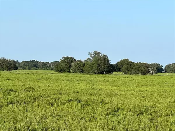 El Campo, TX 77437,00 County Road 394