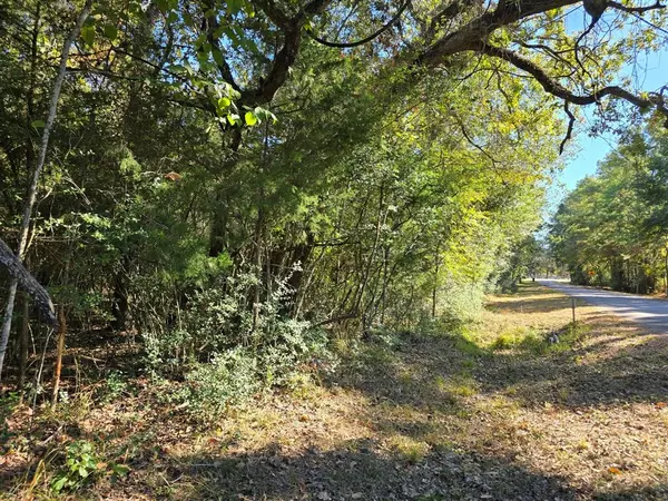 Lot 5 Tepee TRL, Hockley, TX 77447